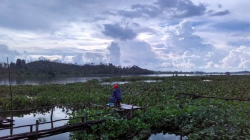 Resep Umpan Paling Jitu Mancing Ikan Nila Liar dan Besar di Danau Terbaru Agar Selalu Strike!!!