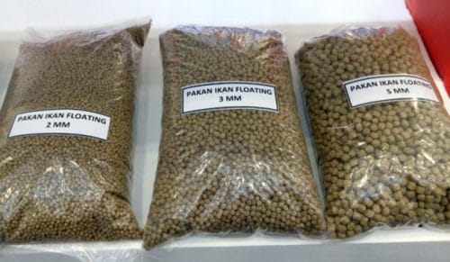 pakan ikan