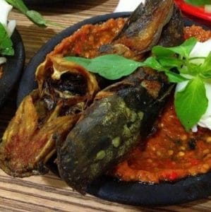 Rahasia 10 Manfaat Ikan Lele Bagi Kesehatan Tubuh Manusia