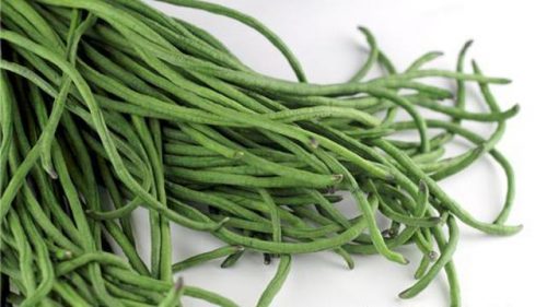 Cara Menanam Kacang Panjang Didalam Polybag yang Baik dan Benar!